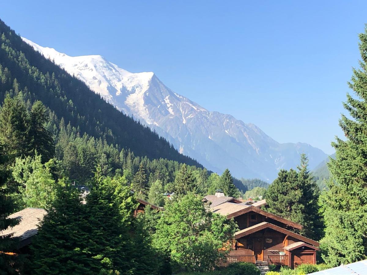 Residence La Verte 24- Aux Pieds Des Pistes! Chamonix Eksteriør billede